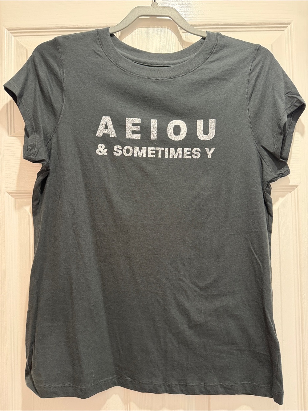 Universal Thread AEIOU & Sometimes Y Graphic Tee - Slate Gray; women’s medium